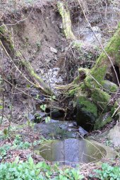 Canyonartige Eintiefung eines Zuflusses (Morlesief) des Richelsbaches